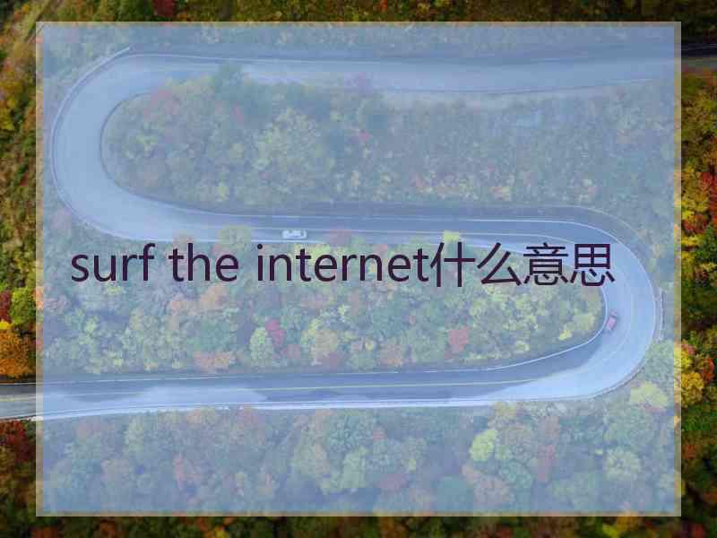 surf the internet什么意思