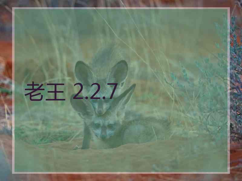 老王 2.2.7