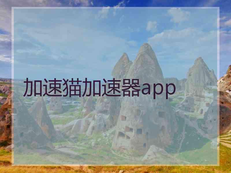 加速猫加速器app