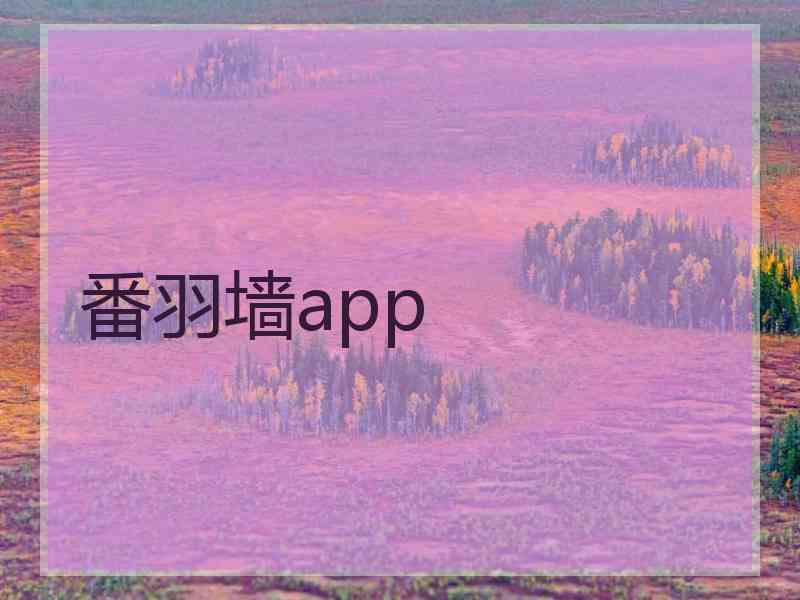 番羽墙app