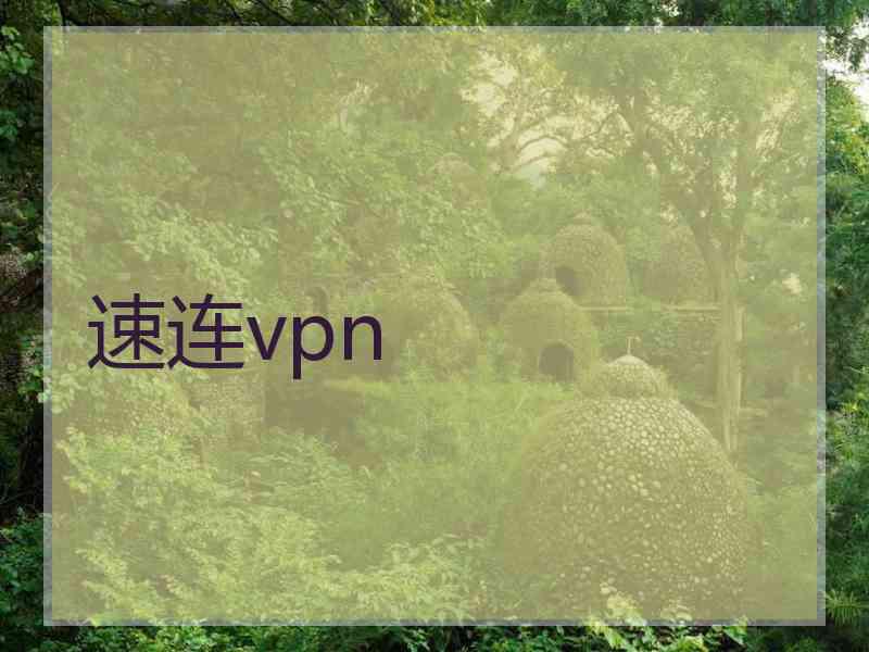 速连vpn