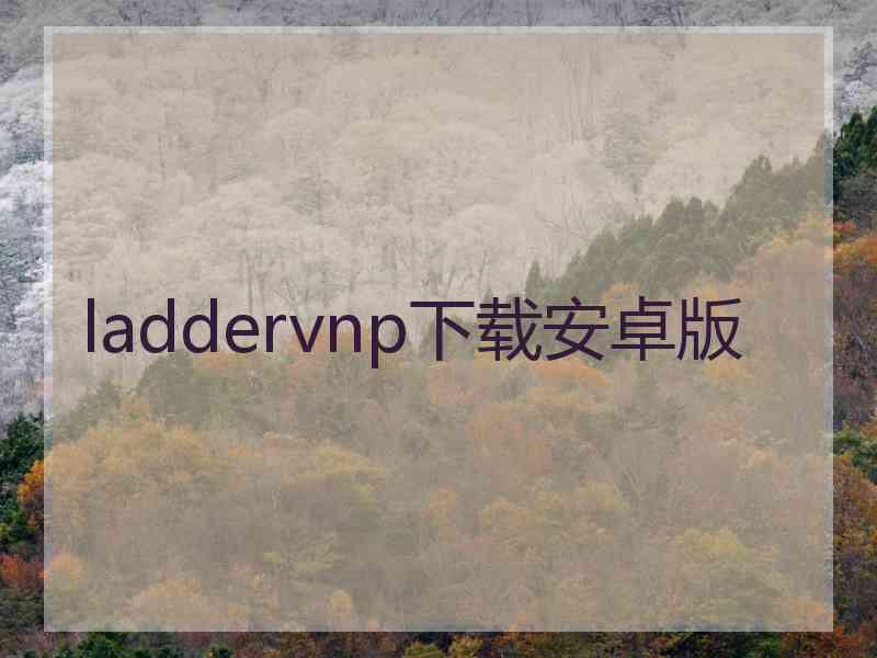 laddervnp下载安卓版