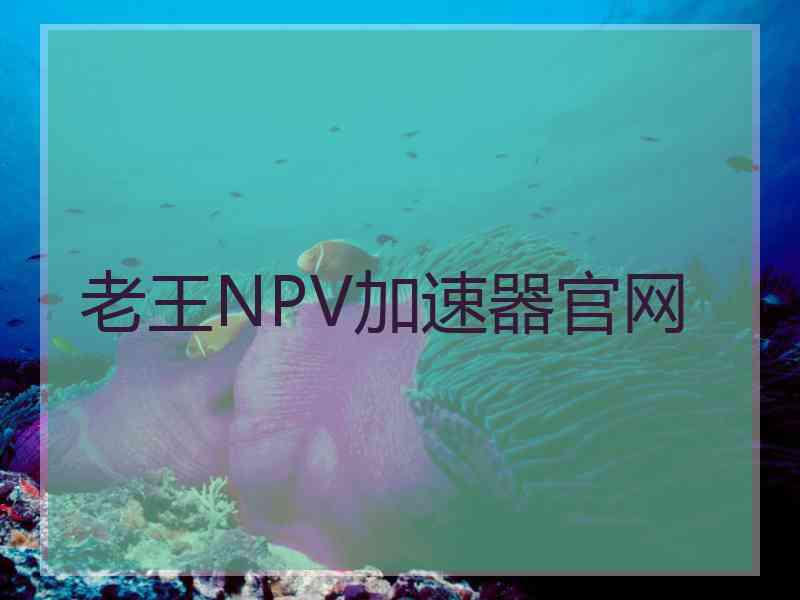 老王NPV加速器官网