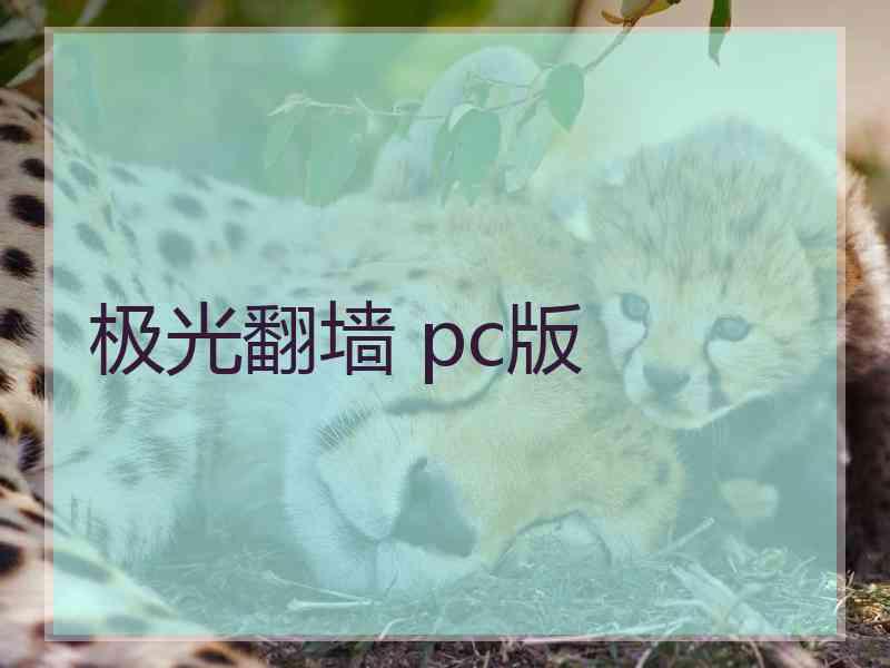 极光翻墙 pc版