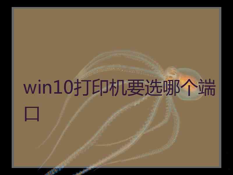 win10打印机要选哪个端口