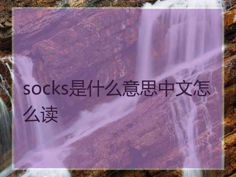 socks是什么意思中文怎么读