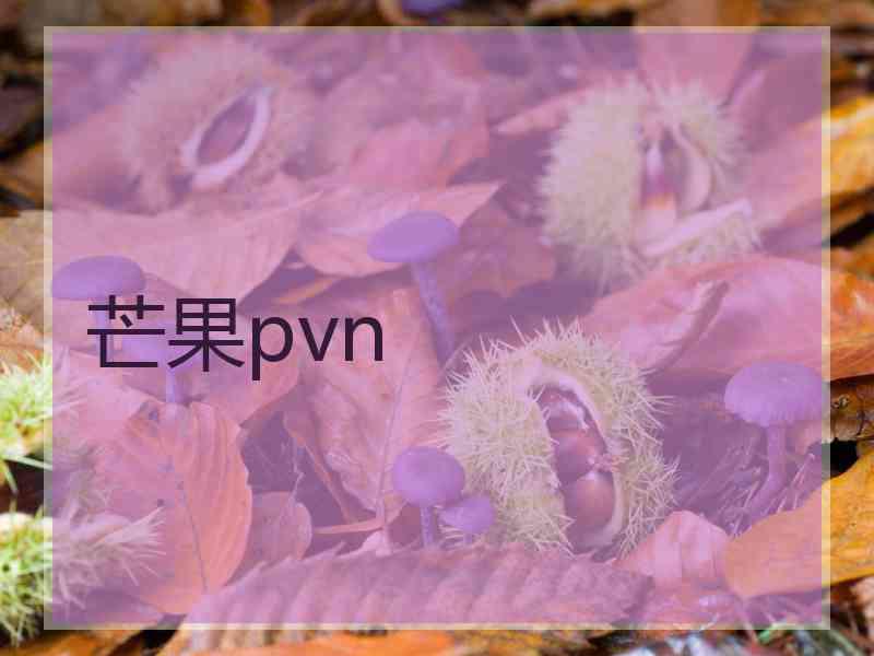 芒果pvn