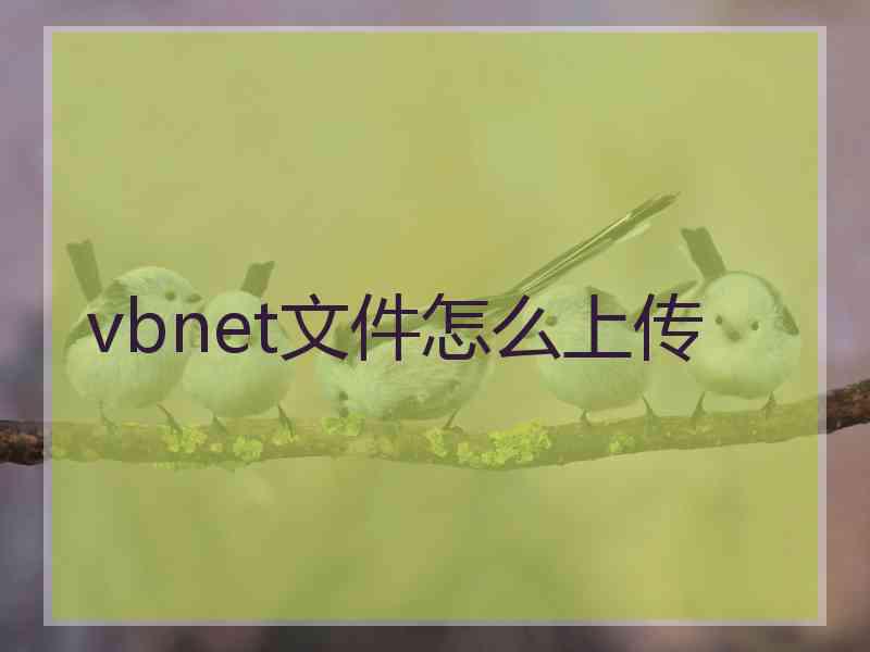 vbnet文件怎么上传