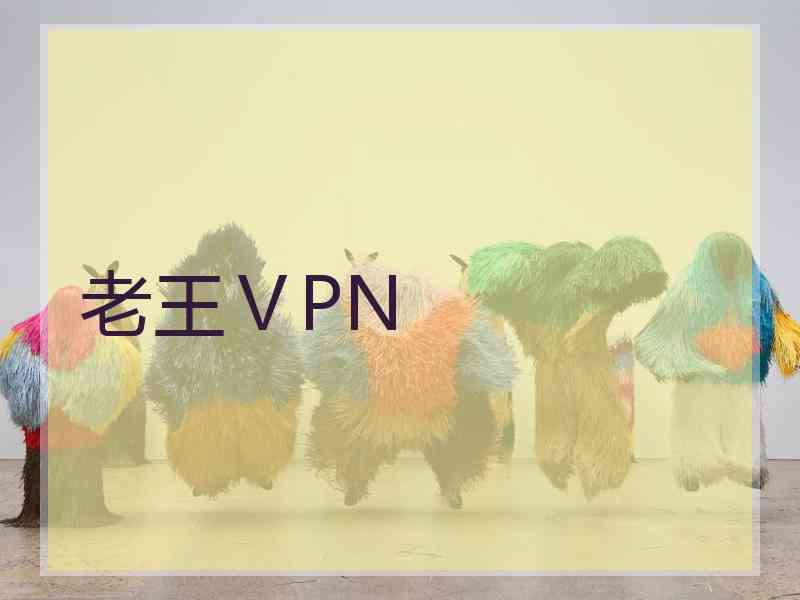 老王ⅤPN