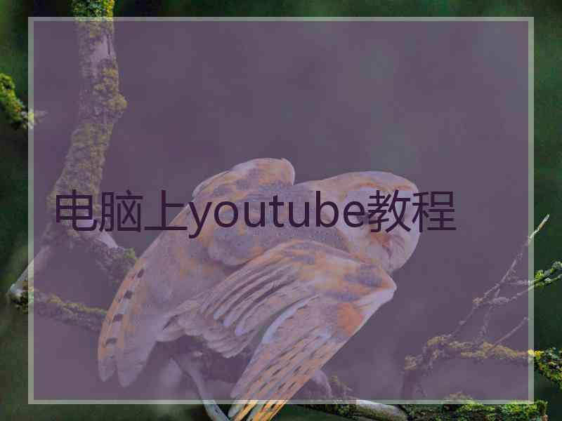 电脑上youtube教程