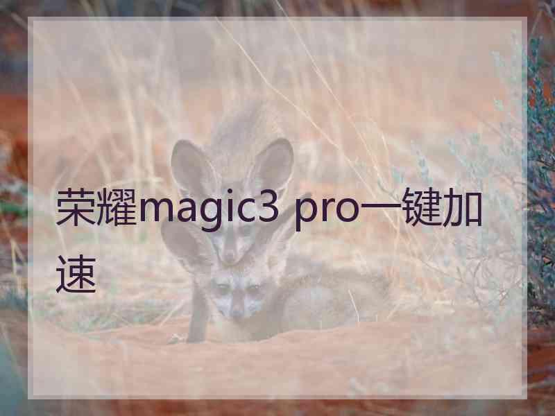 荣耀magic3 pro一键加速