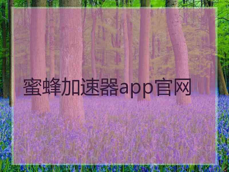 蜜蜂加速器app官网