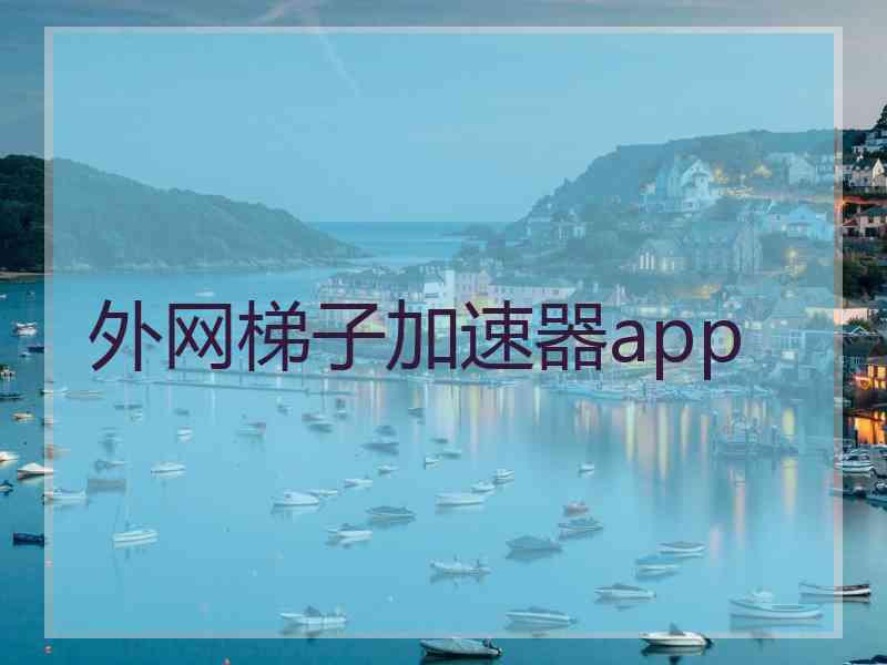 外网梯子加速器app