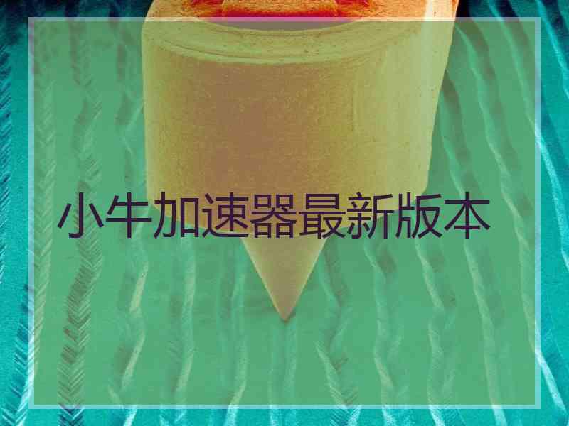 小牛加速器最新版本