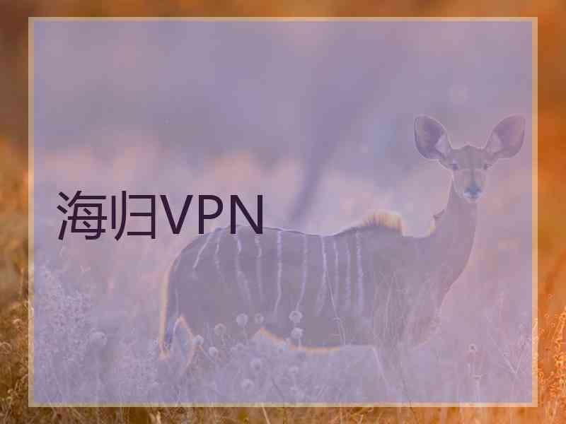 海归VPN