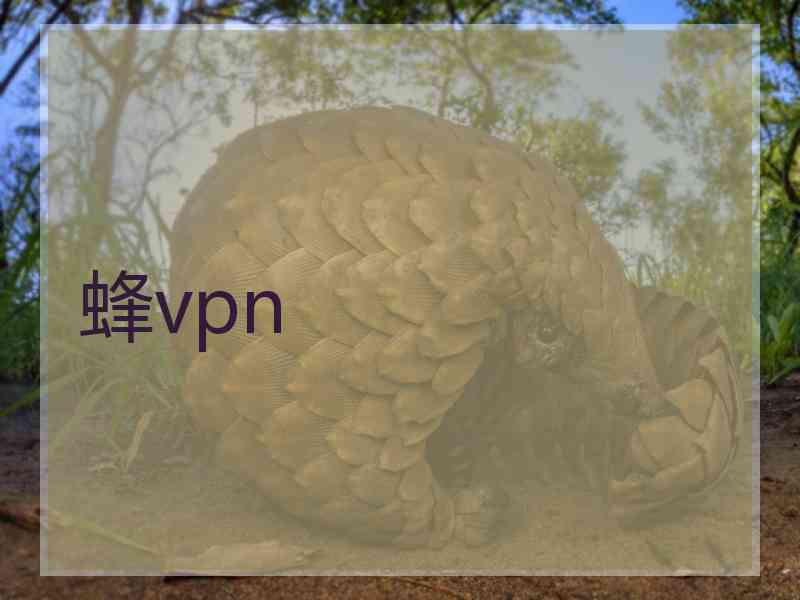 蜂vpn