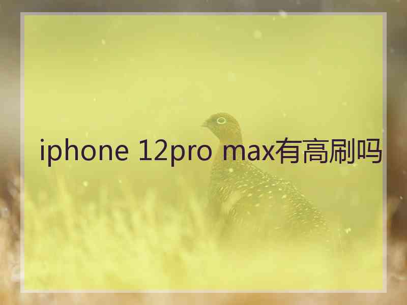 iphone 12pro max有高刷吗