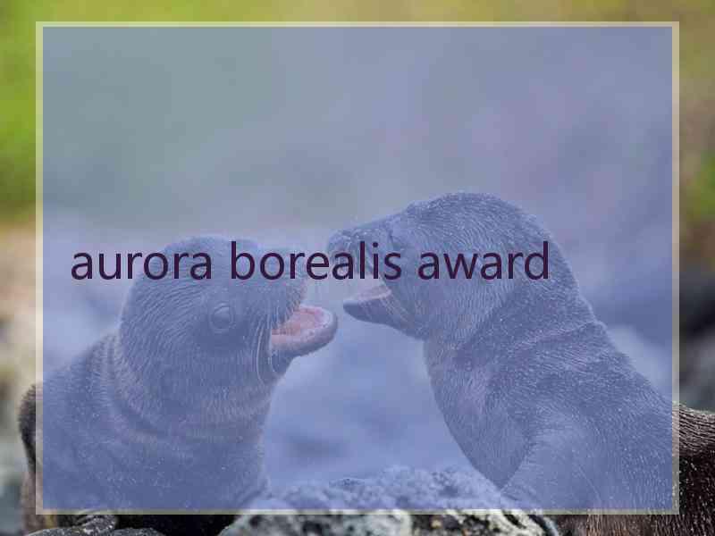 aurora borealis award