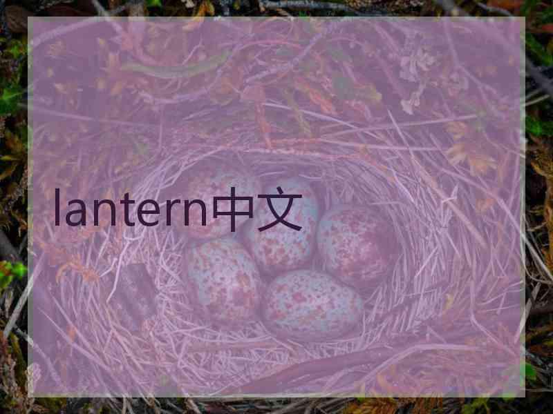 lantern中文