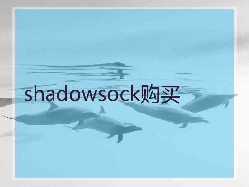 shadowsock购买