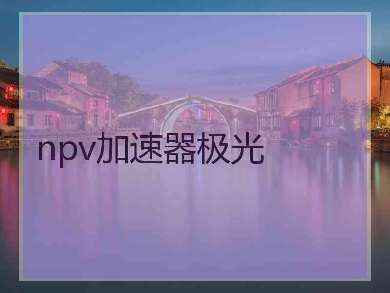 npv加速器极光