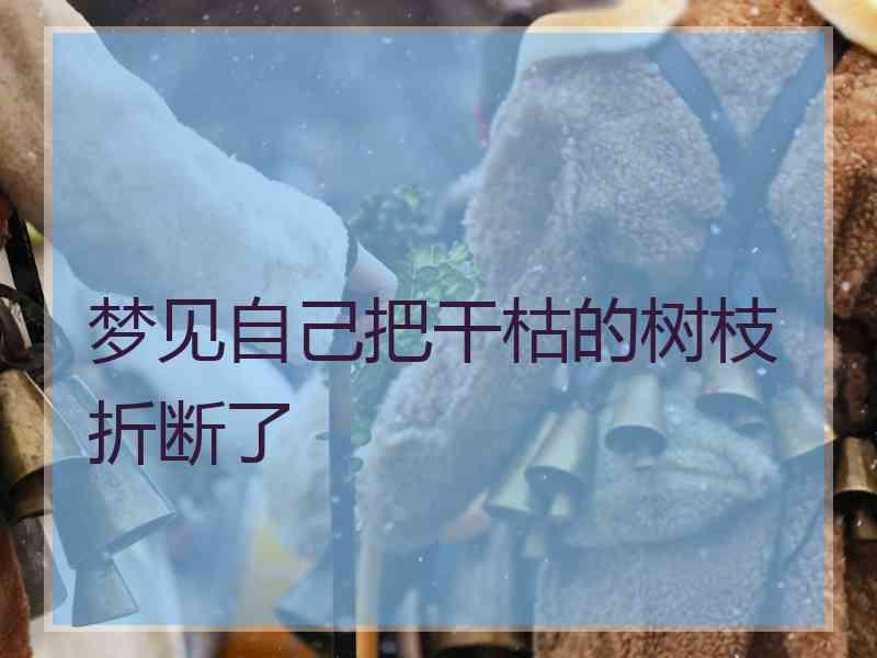 梦见自己把干枯的树枝折断了