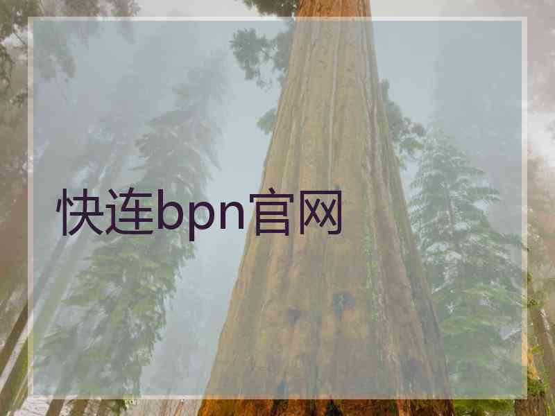 快连bpn官网