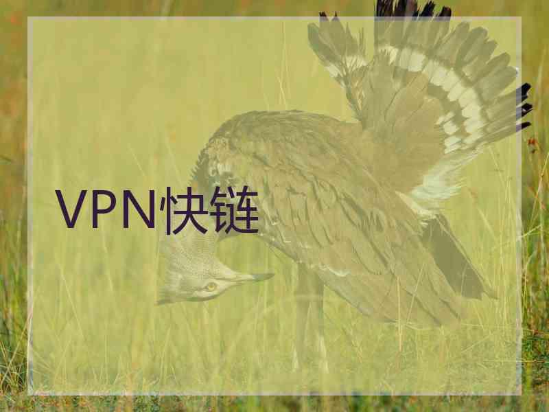 VPN快链