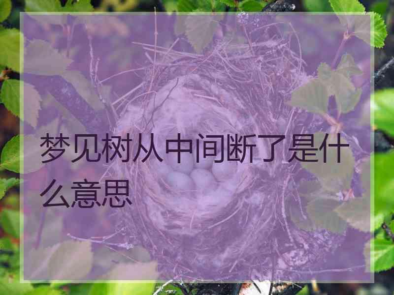 梦见树从中间断了是什么意思