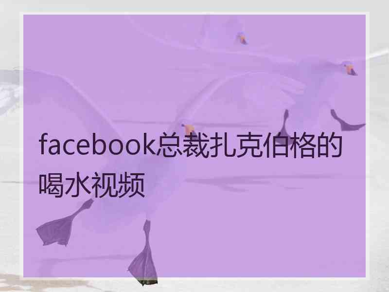 facebook总裁扎克伯格的喝水视频