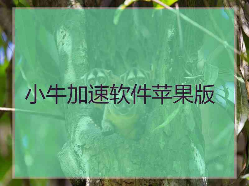 小牛加速软件苹果版