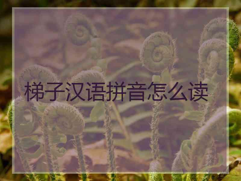 梯子汉语拼音怎么读