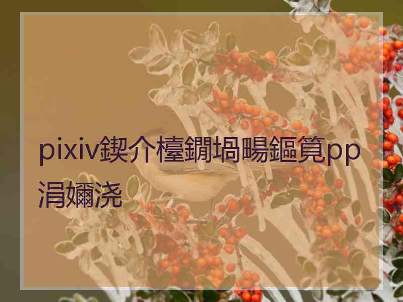 pixiv鍥介檯鐗堝畼鏂筧pp涓嬭浇