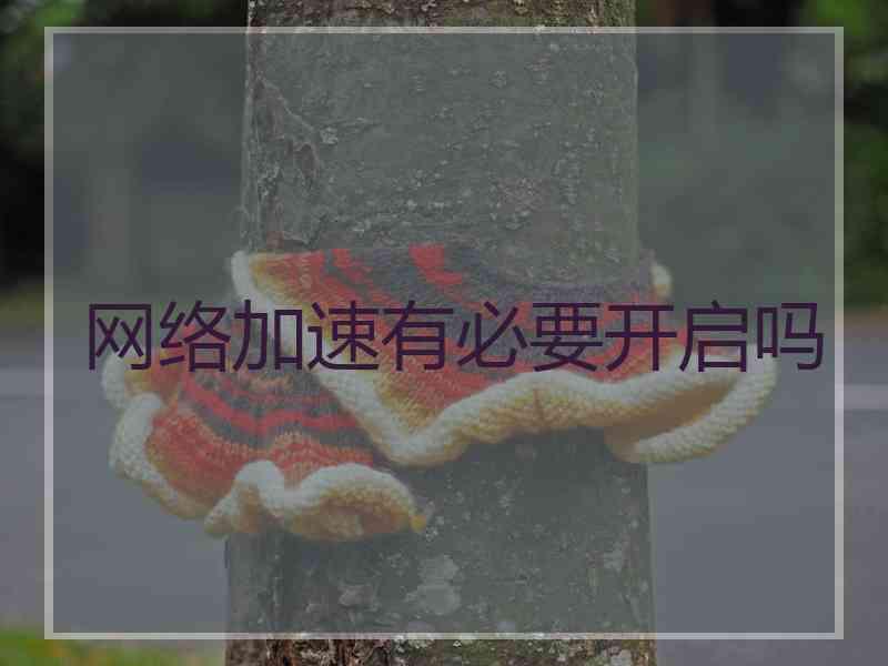 网络加速有必要开启吗