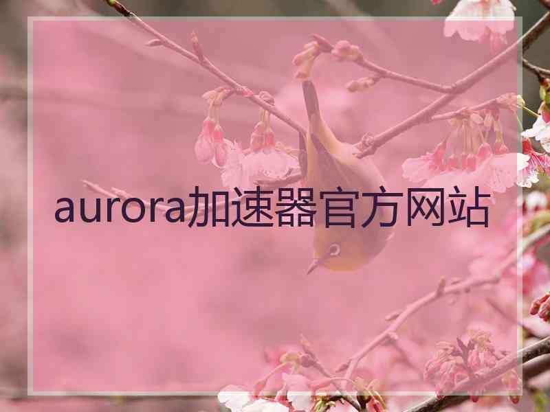 aurora加速器官方网站