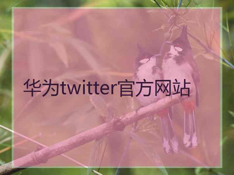 华为twitter官方网站