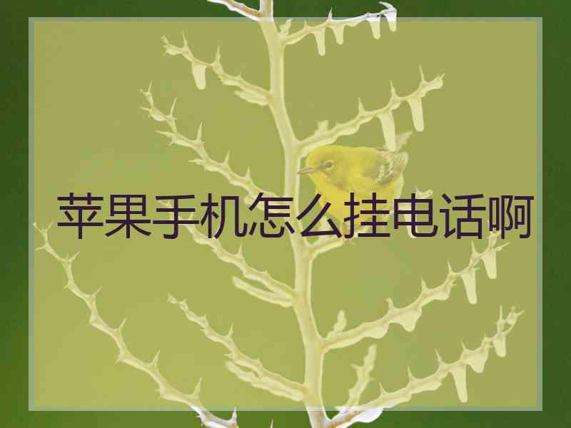 苹果手机怎么挂电话啊