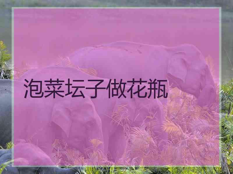 泡菜坛子做花瓶