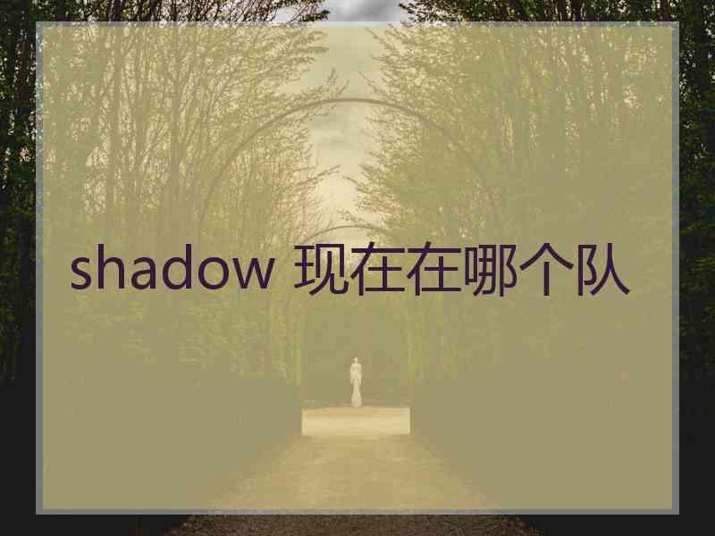 shadow 现在在哪个队