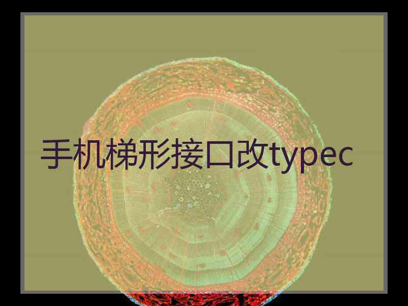 手机梯形接口改typec