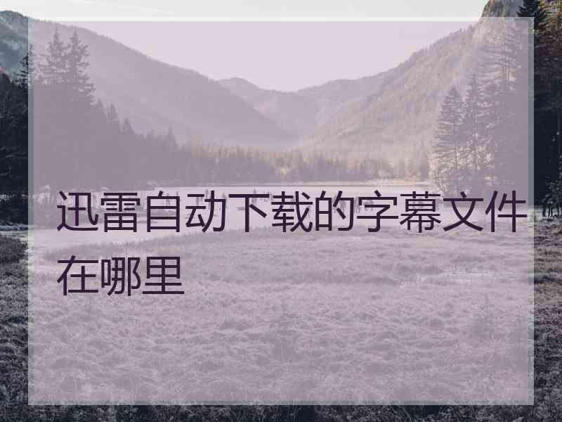 迅雷自动下载的字幕文件在哪里