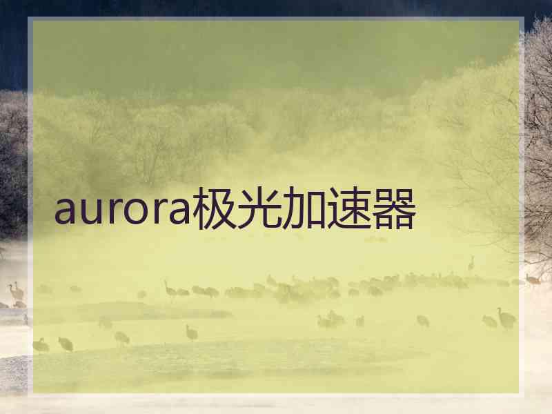 aurora极光加速器