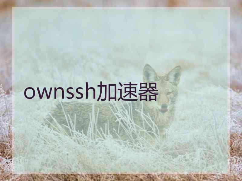 ownssh加速器