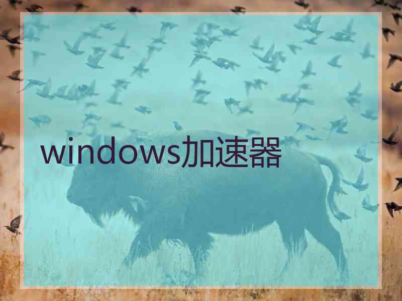 windows加速器