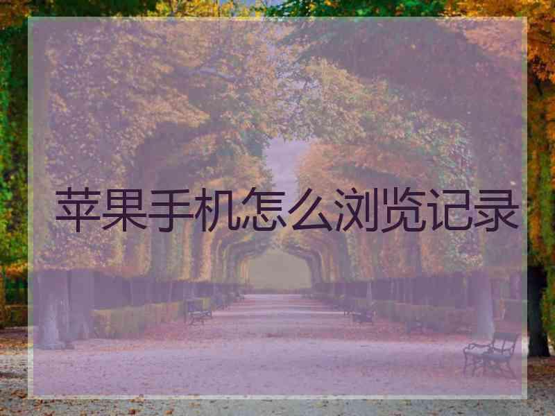 苹果手机怎么浏览记录