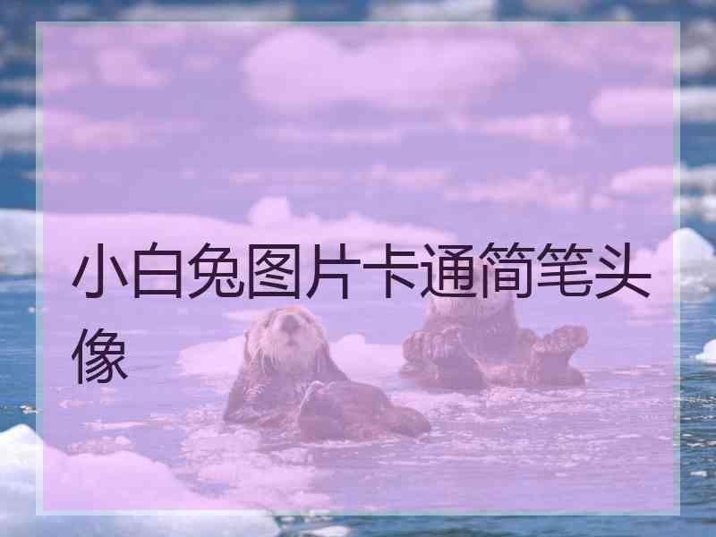 小白兔图片卡通简笔头像