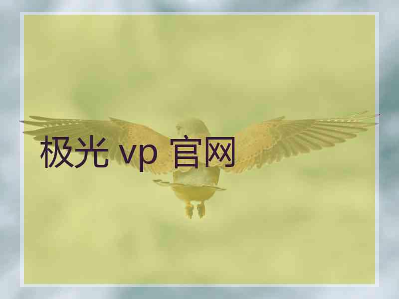 极光 vp 官网