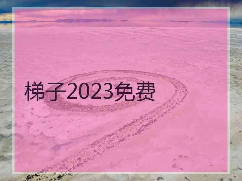 梯子2023免费