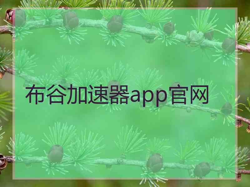 布谷加速器app官网