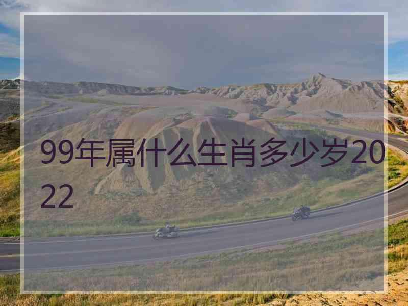 99年属什么生肖多少岁2022